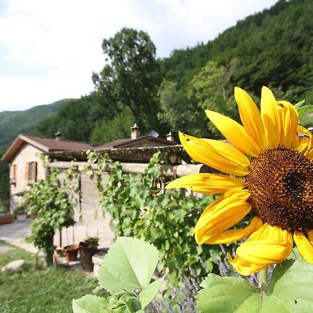 Agriturismo Ca Sonino Bettola  Ngoại thất bức ảnh