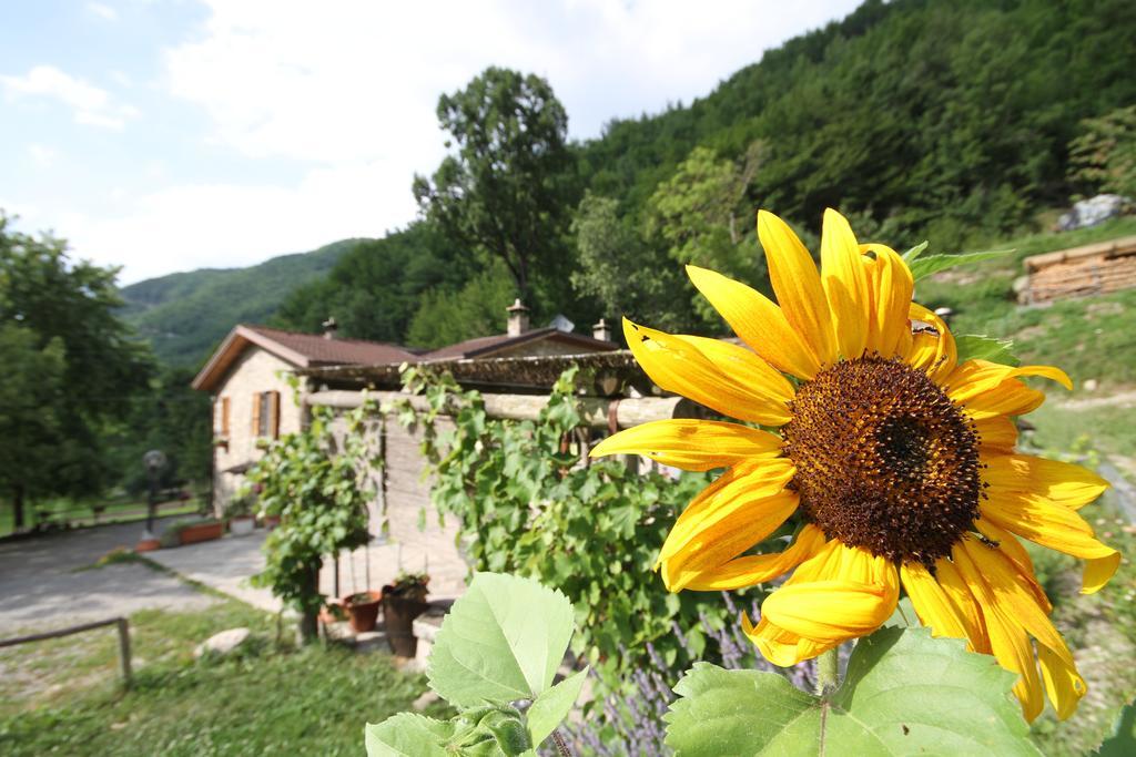 Agriturismo Ca Sonino Bettola  Ngoại thất bức ảnh