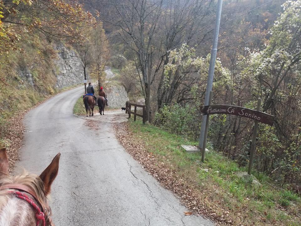 Agriturismo Ca Sonino Bettola  Ngoại thất bức ảnh